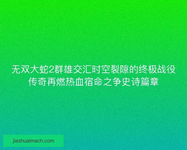 无双大蛇2群雄交汇时空裂隙的终极战役传奇再燃热血宿命之争史诗篇章